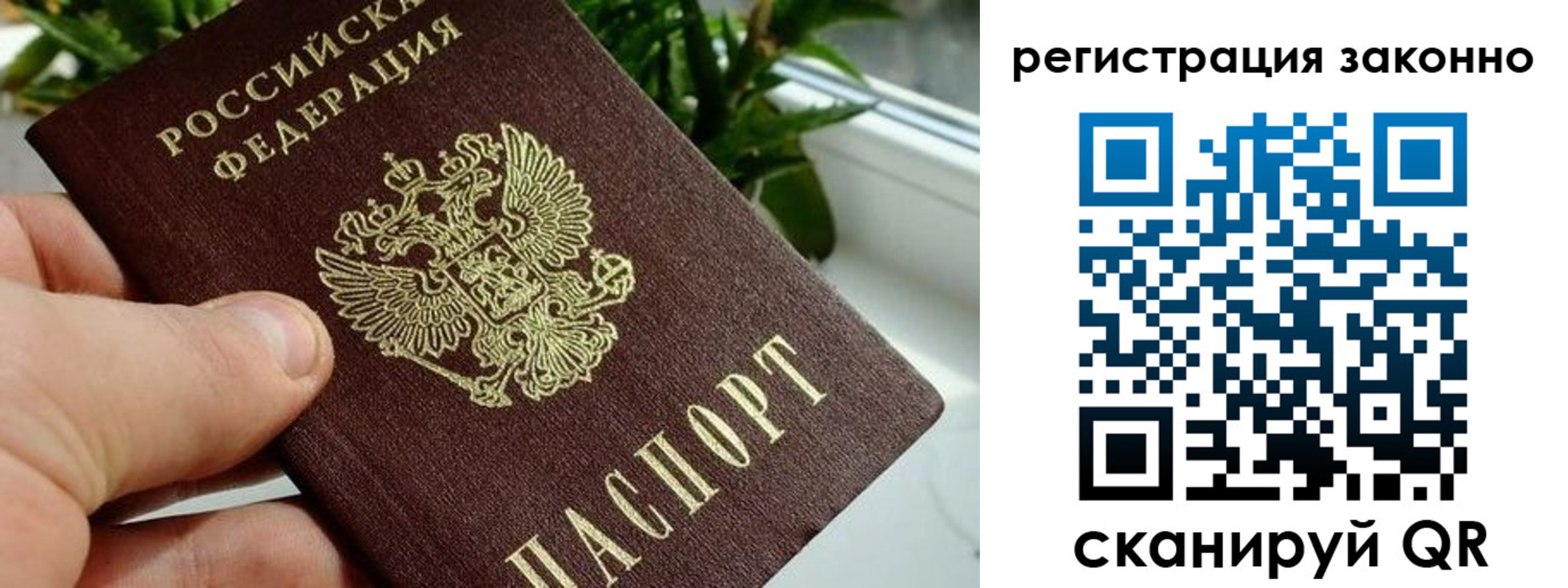 прописка гарантия в Балашове